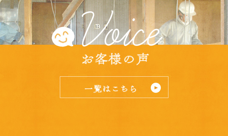 VOICE